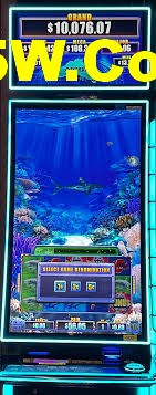 Free Spins Bonus - Lucky Tiger